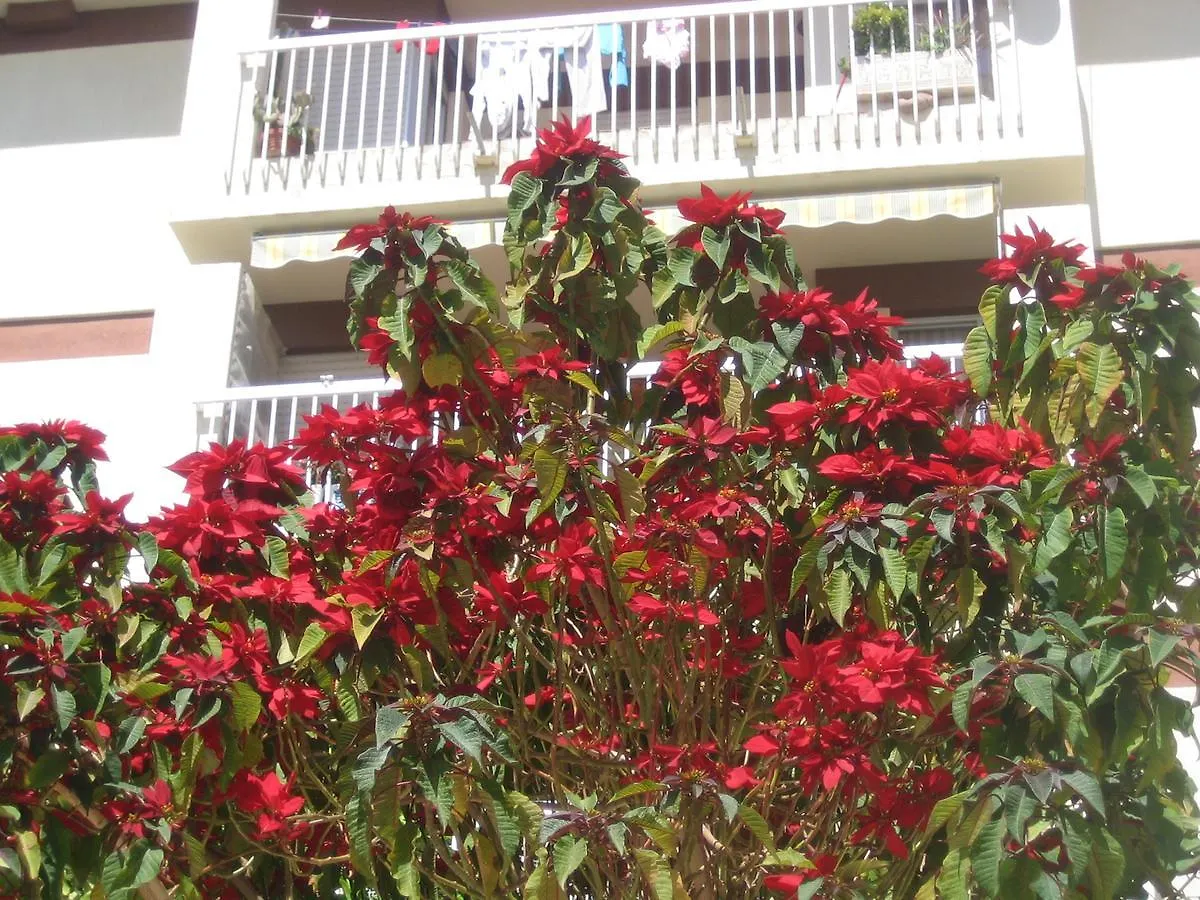 Appartement Carabeo 2000 3.1 à Nerja Espagne
