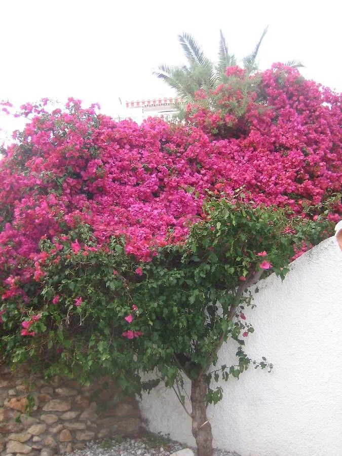 Appartement Carabeo 2000 3.1 à Nerja